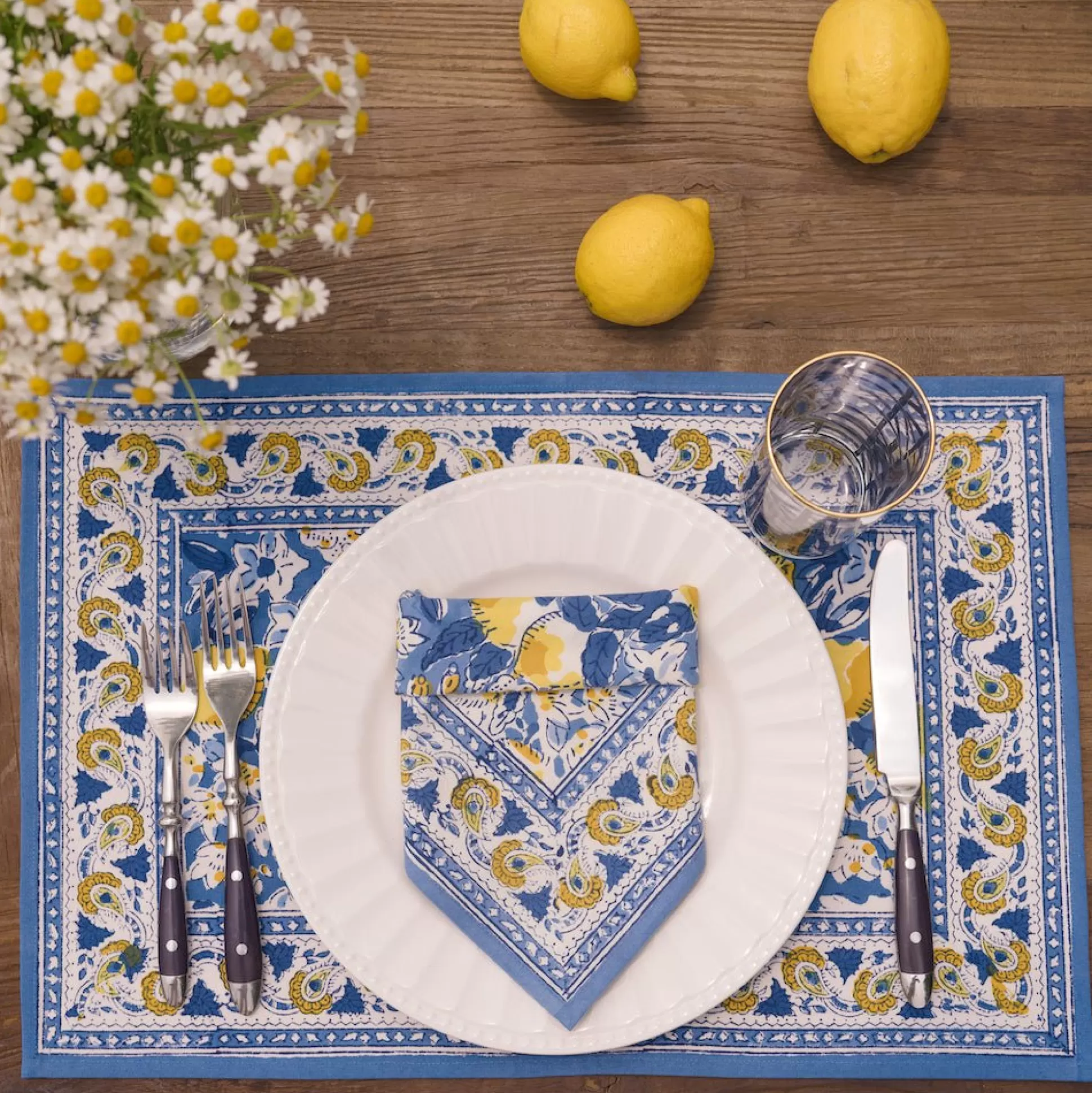 Pomegranate Inc. Hand Block Printed*Lemon Grove Placemat | Set Of 4