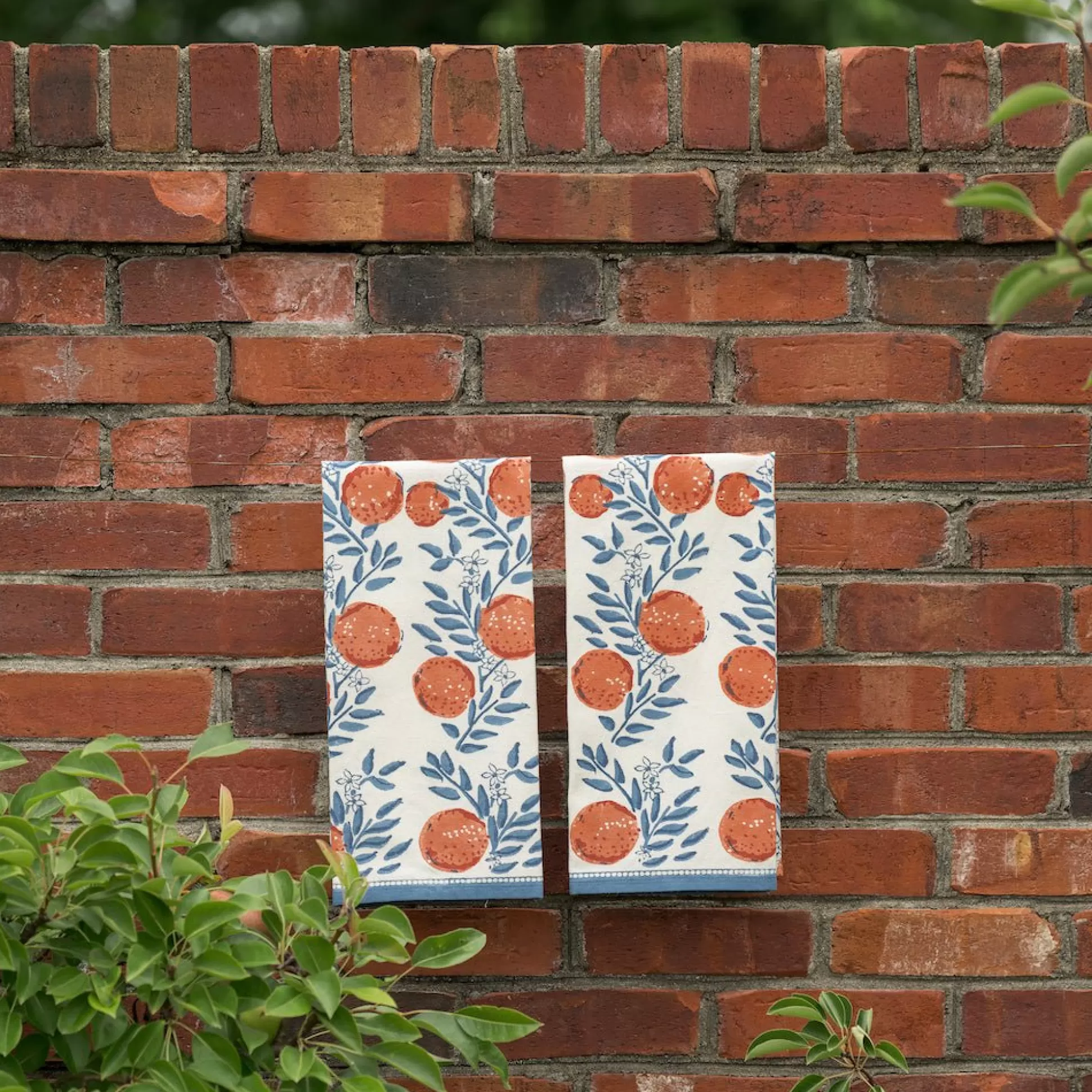 Pomegranate Inc. Tea Towels*Orange Grove Tea Towels